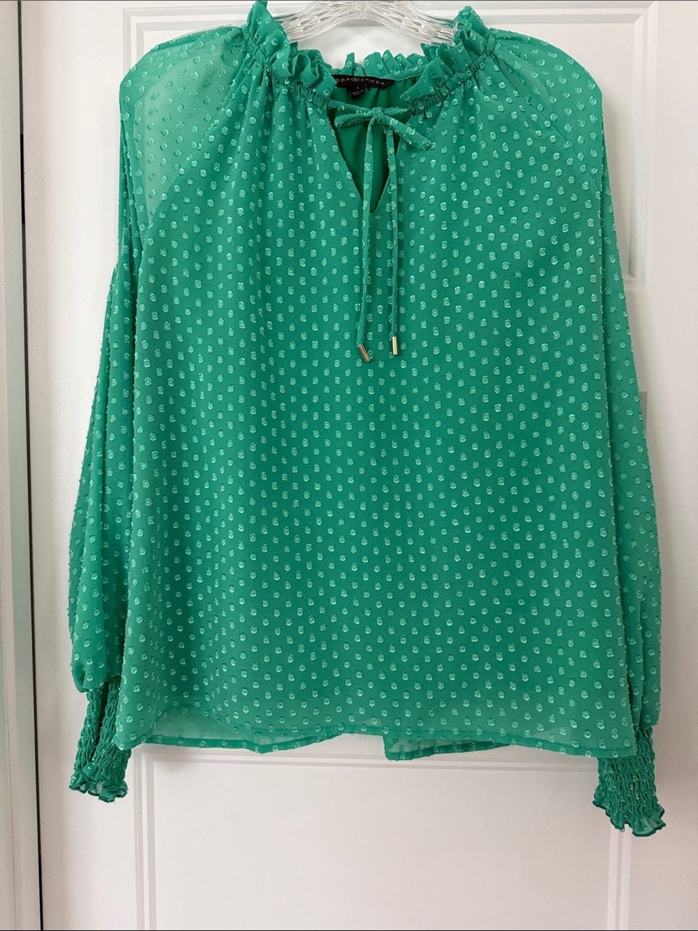 Dora Landa Green Textured Dot Chiffon Blouse